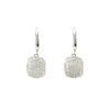 Fashion hoop Earrings   