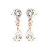 Fashion Earrings drop