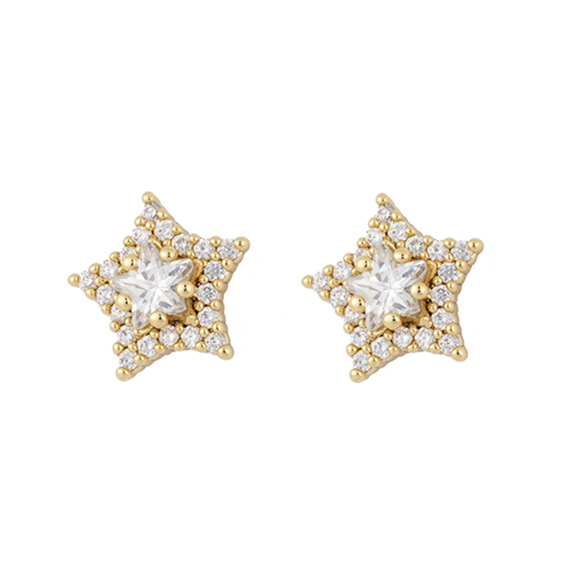 Star Zirconia Stud Earrings