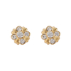 In-stock Flowers Cz Earrings