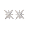 In-stock Basic Cubic Earrings 