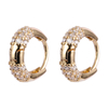 Horn Hoop Earrings $0.5-1.4