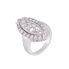 Closed Ring 2R06270
