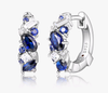 Blue Gemstone 925 Sterling Silver Earrings ETB063